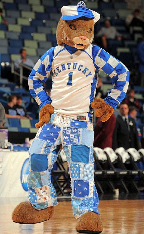 My Life as a Writer: March Madness Part Two ~ The Mascots of Kentucky