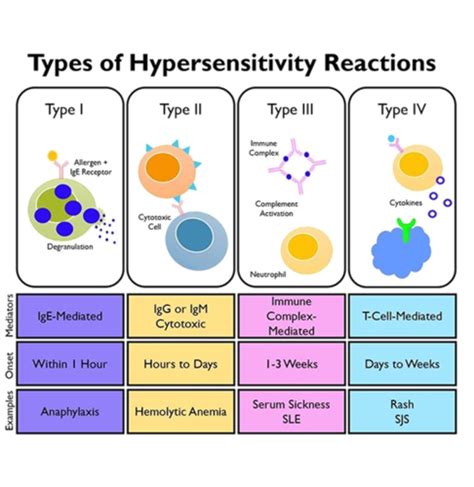 Immunosuppressive drugs Flashcards | Quizlet