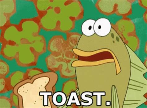 Toast GIF - Toast - Discover & Share GIFs