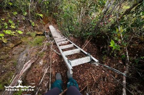 Gunung Tahan: Ultimate 2024 Guide to West Malaysia's Tallest Peak