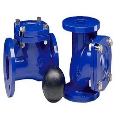 Ball Check Valve at Rs 5000 | Ball Check Valve in Mumbai | ID: 2851657939688