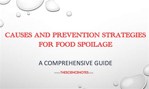 Causes and Prevention Strategies for Food Spoilage - The Science Notes