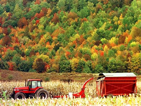 Explaining Current Use: How 40 Percent Of Vermont's Land Is Taxed ...