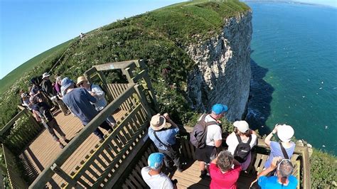 Wildlife lovers' joy at Bempton Cliffs summer bird spectacle - BBC News