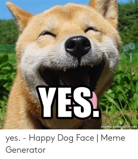 Happy Dog Face Meme | Happy dogs, Happy dog meme, Funny dog memes