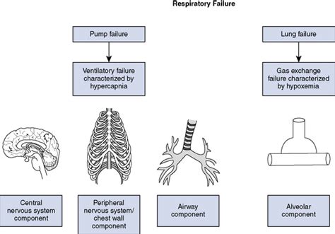 Respiratory Failure | Veterian Key