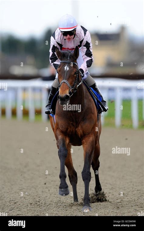 Horse Racing - Kempton Park Racecourse Stock Photo - Alamy