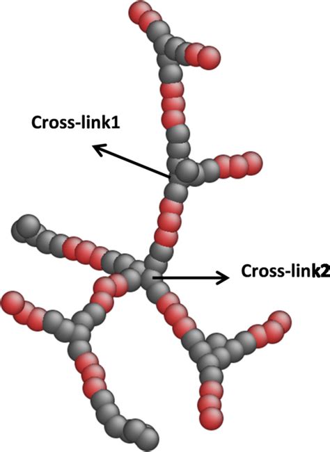 (Color online) Illustration of one piece of cross-linked polymer ...