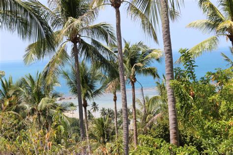 "View to the beach" Hotel Banyan Tree Samui (Coral Cove) • HolidayCheck ...