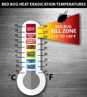 What You Need To Know About Bed Bug Heat Treatment - AKCP