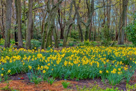 Delaware Botanic Gardens Reopens for the Season