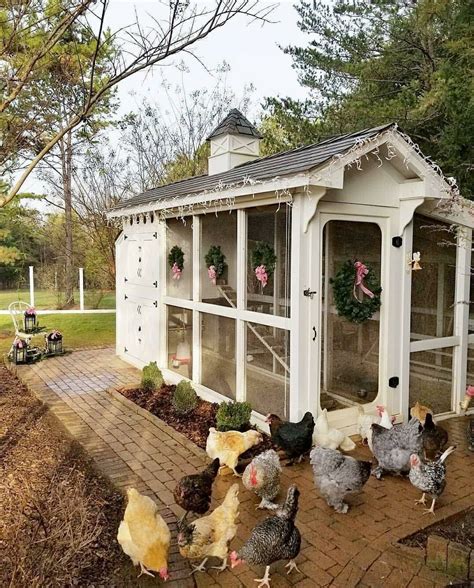 Gorgeous Coop #chickencoopplans #ChickenCoops | Backyard chicken coop ...