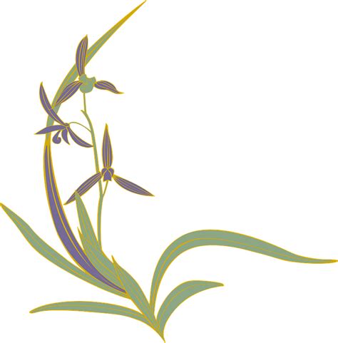 Orchid Clip Art Image - ClipartLib