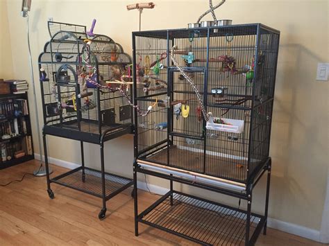 The budgies have their own room - finally! – homekeethome | Pet bird cage, Diy bird cage, Budgies