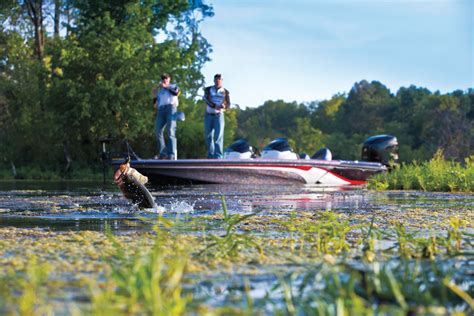 Bass Fishing Tips: How to Catch Bass | Discover Boating