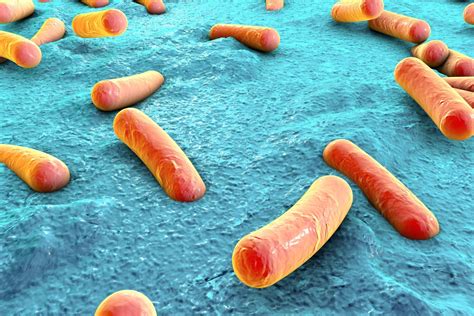 Pseudomonas aeruginosa - Zeta Services