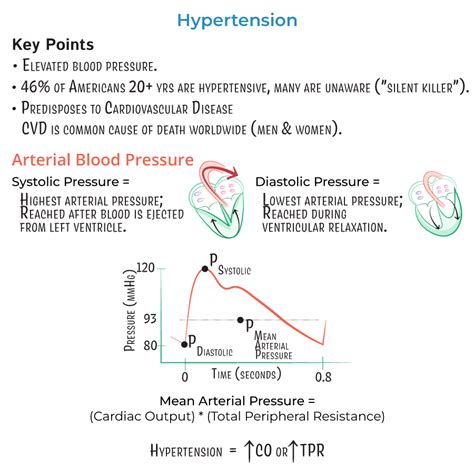 Clinical Pathology Glossary: Hypertension | ditki medical & biological ...