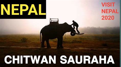 Chitwan National Park | Nepal | Sauraha | Visit Nepal 2020 | Chitwan ...