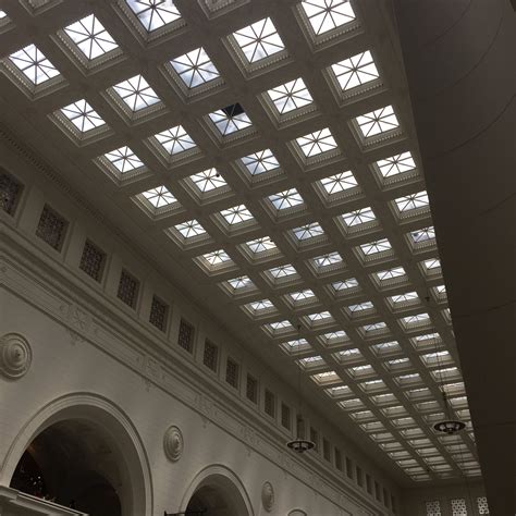 Field Museum on Twitter: "Don't forget to look up! https://t.co/mx456oxA4Z" / Twitter