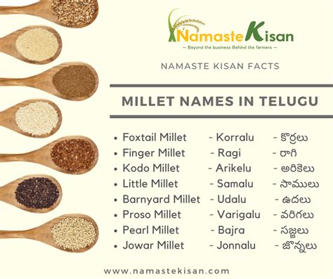 Millets In Telugu Millet Benefits Types Of Millets In, 46% OFF