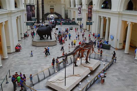 Best Museums in Chicago: Art, History & Other Museums Worth Visiting - Thrillist