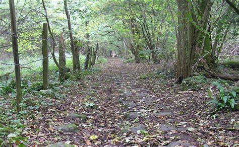 Bath Skyline Walk - Best Walks Near Bristol - Active-Traveller