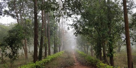 Places To Visit In Araku Valley, Andhra Pradesh | Travel Insights | Voyager - Sandy & Vyjay