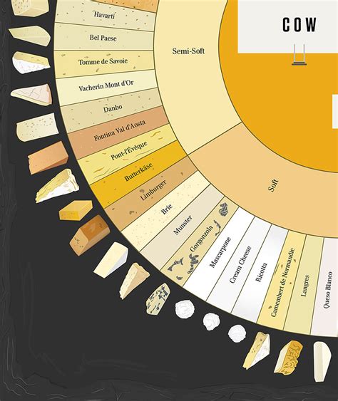 GOLDEN WIRES: Rodzaje serów. Types of cheeses.