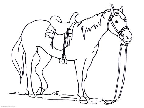 Horse Coloring Pages for Kindergarten | Learning Printable