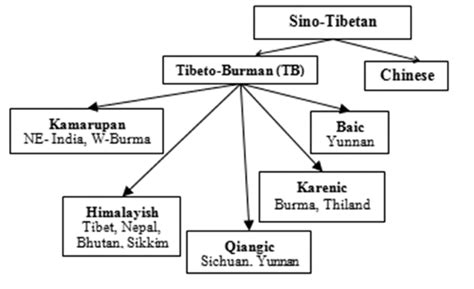 Sino-Tibetan language tree | Download Scientific Diagram