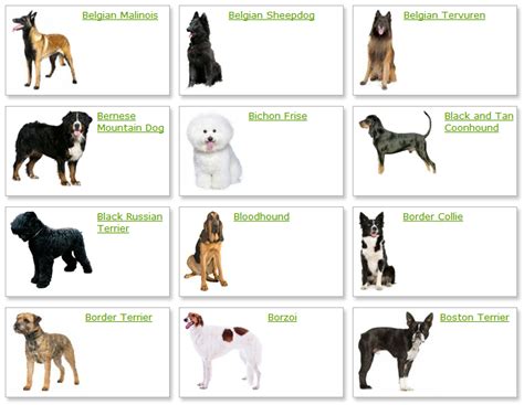Printable Dog Breed Chart