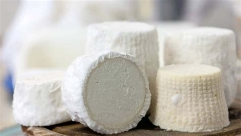 Donkey Cheese (Pule) — The World’s Most Expensive Cheese – ItsFoodtastic