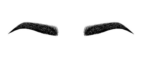 Eyebrow Vector at Vectorified.com | Collection of Eyebrow Vector free ...