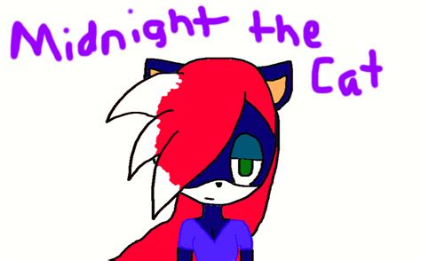 NEW SONIC OC- MIDNIGHT THE CAT by xXShadowfan2Xx on DeviantArt