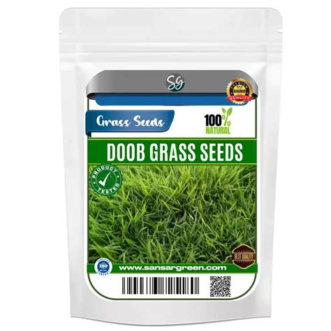 Doob Grass Seeds - Sansar Green It is Organic in nature