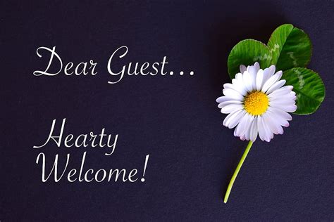 Welcome Guest Wallpaper