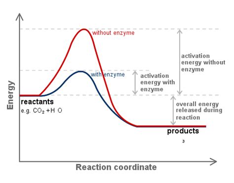 Example of Combination Reaction in Which Catalyst Is Used