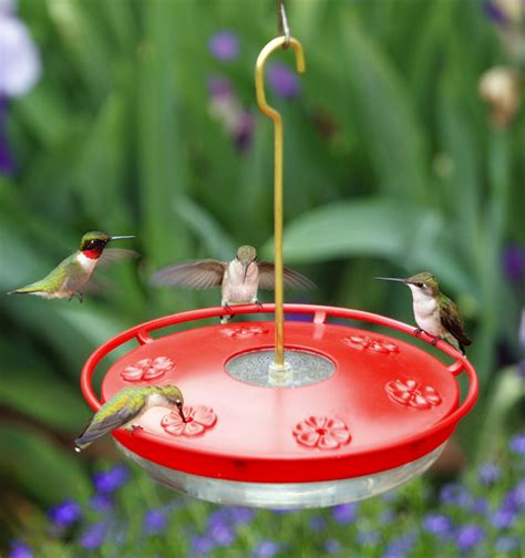 HummZinger High View Excel Hummingbird Feeder - Aspects441