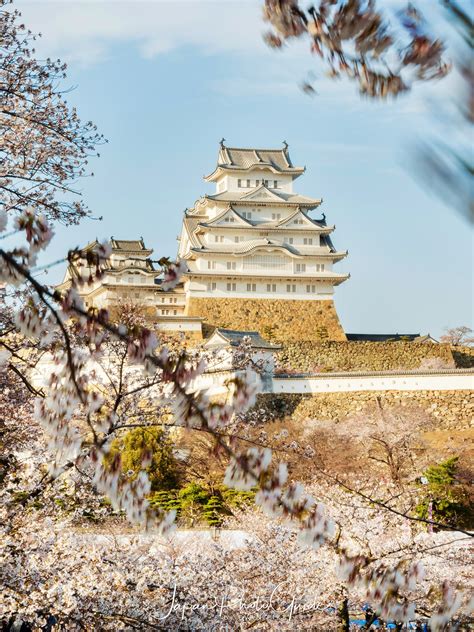 2019 Cherry Blossom Photo Tour | Himeji Castle | Japan Photo Guide ...