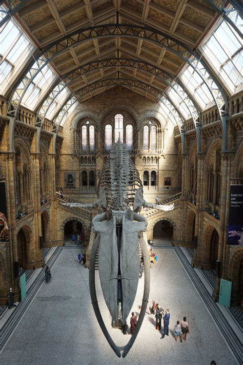 Visiting Natural History Museum London with kids | Museum Mum