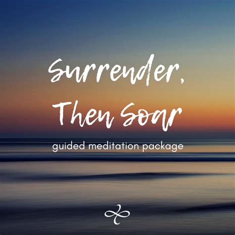 Surrender, Then Soar Guided Meditation Package - davidji Meditation Academy