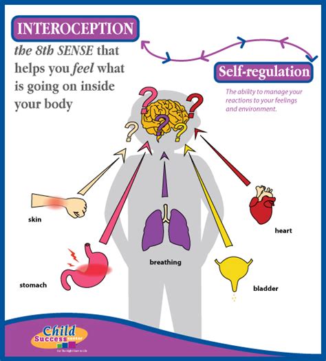 Understanding Interoception-New Insights into Common Childhood Issues ...