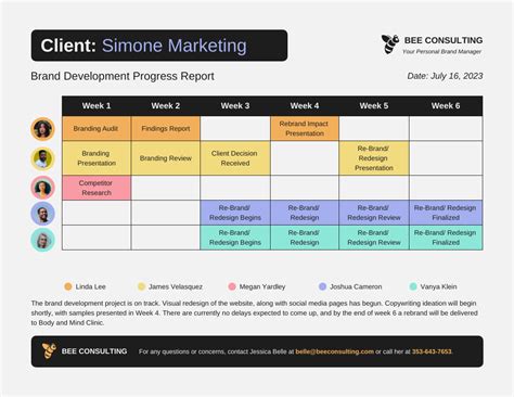 Rapport d'avancement du client en couleur - Venngage