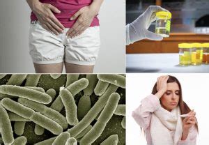 Herbal Remedies for Klebsiella Urinary tract infection