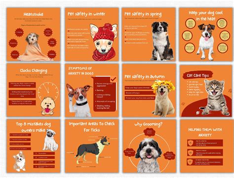 NEW LAUNCH Pets Template Bundle, Pets Business Template Kit, Canva ...