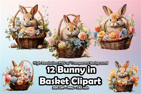 12 Bunny in Basket Clipart Graphic by printztopbrand · Creative Fabrica