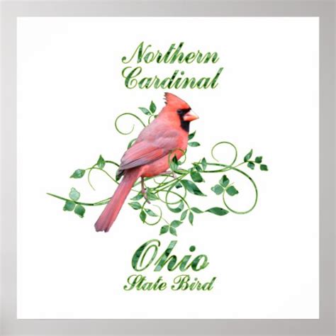 Cardinal Ohio State Bird Poster | Zazzle