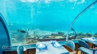 The Underwater Restaurant at Hurawalhi Maldives. The 5.8