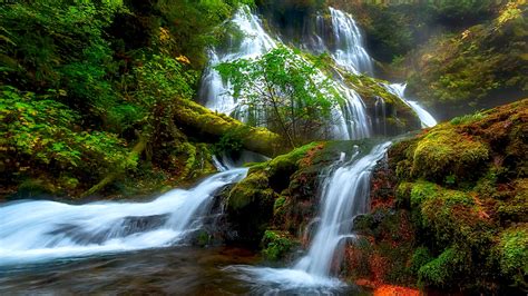 Natural Beauty Panther Creek Falls Columbia River District Skamejnija Washington Usa Hd ...