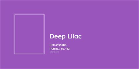 About Deep Lilac - Color codes, similar colors and paints - colorxs.com